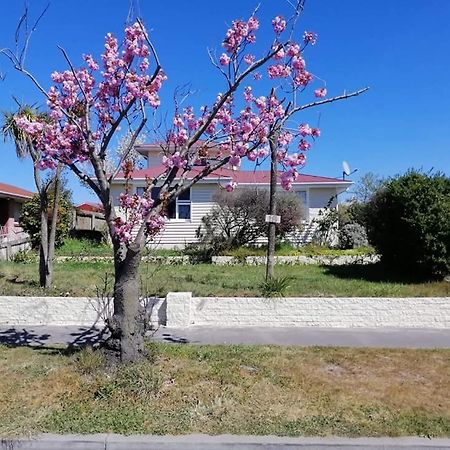 Homestay Double Room, Near The City Center Christchurch Exteriör bild