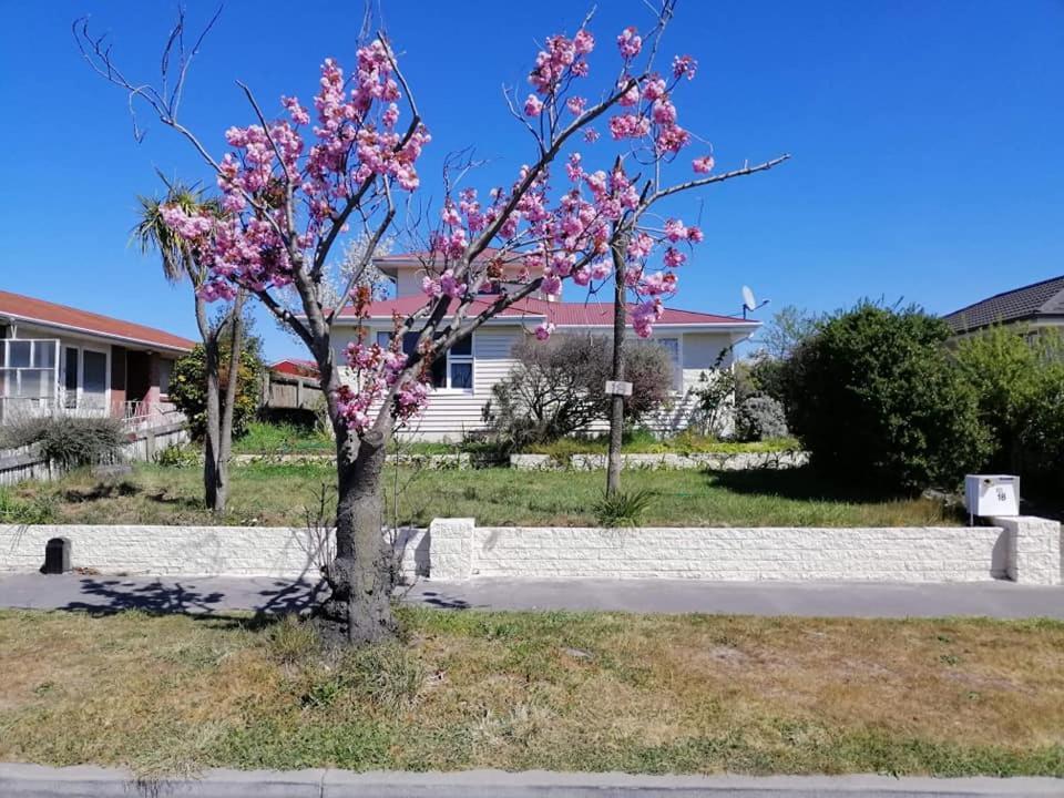 Homestay Double Room, Near The City Center Christchurch Exteriör bild